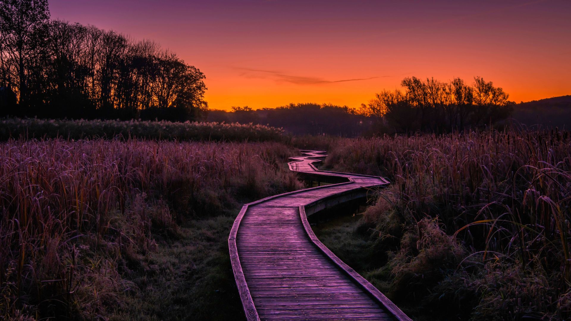 Sunset Boardwalk Wallpapers