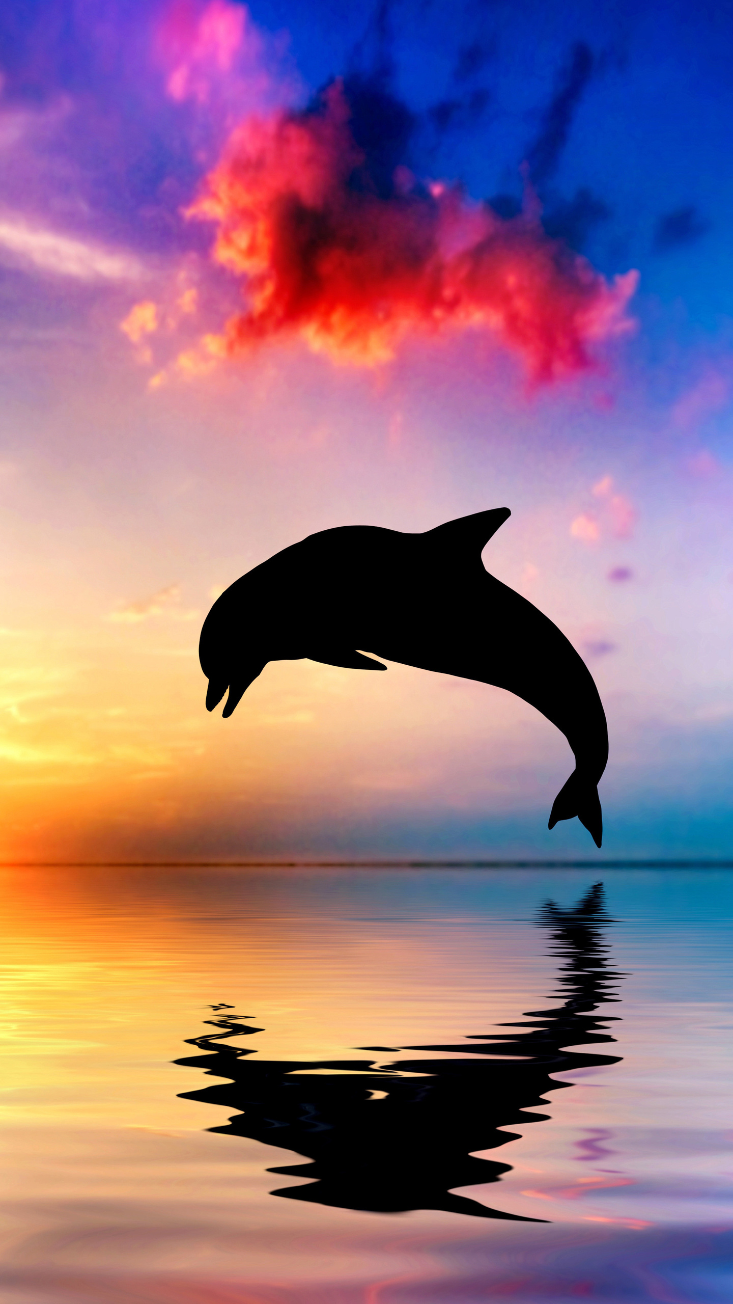 Sunset Dolphin Wallpapers