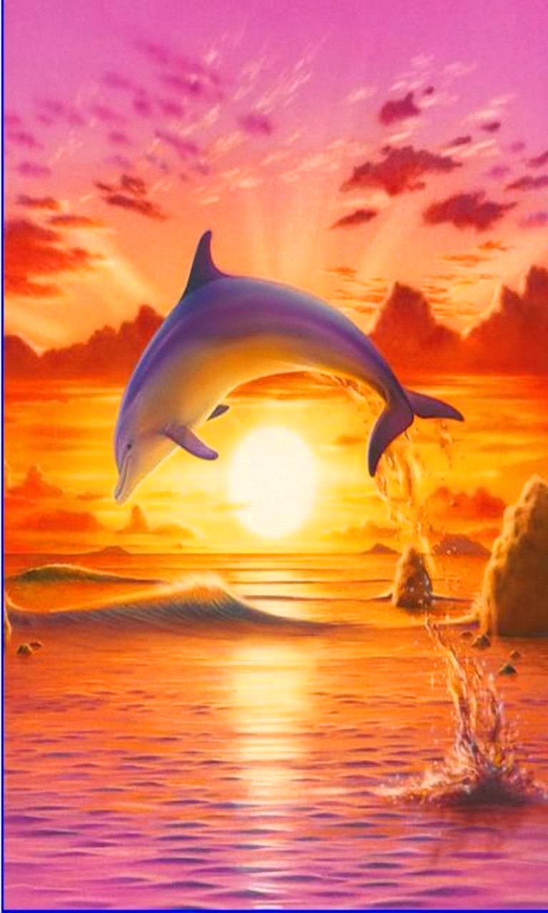 Sunset Dolphin Wallpapers