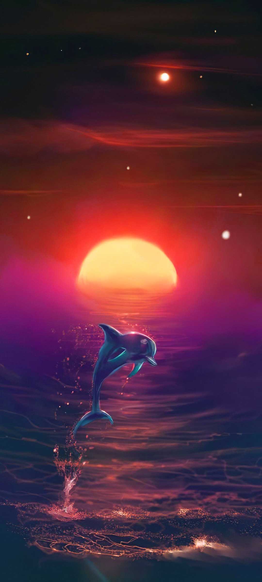 Sunset Dolphin Wallpapers