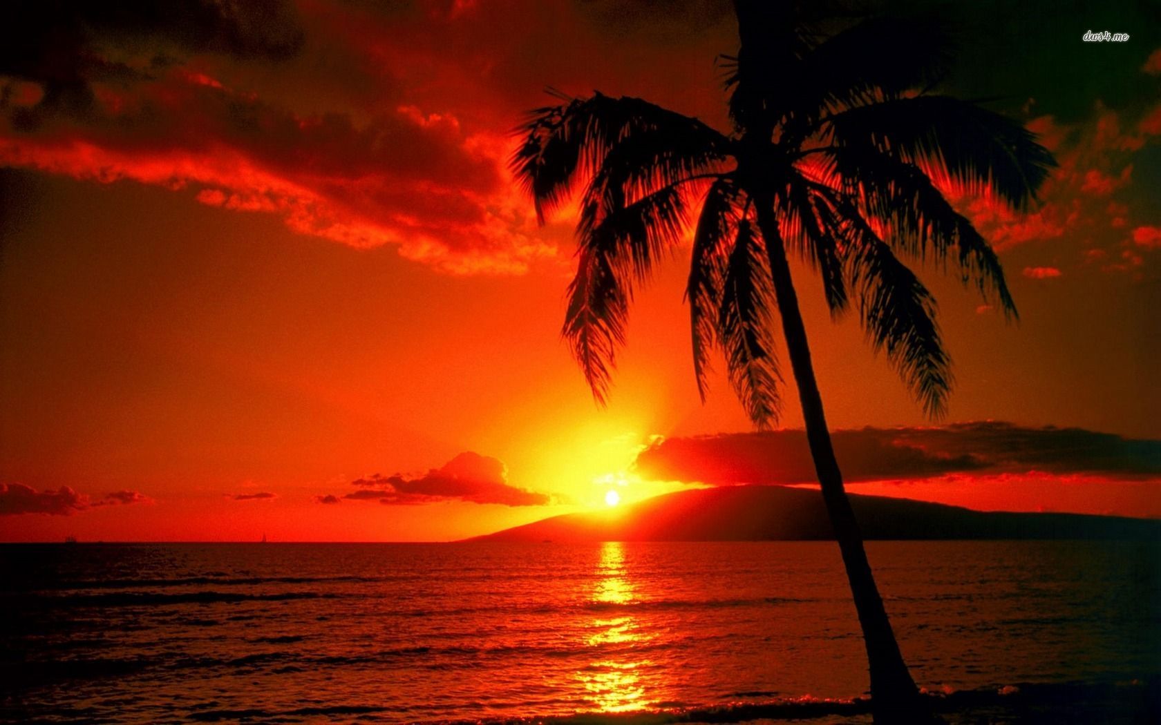 Sunset Ocean Hawaii Wallpapers