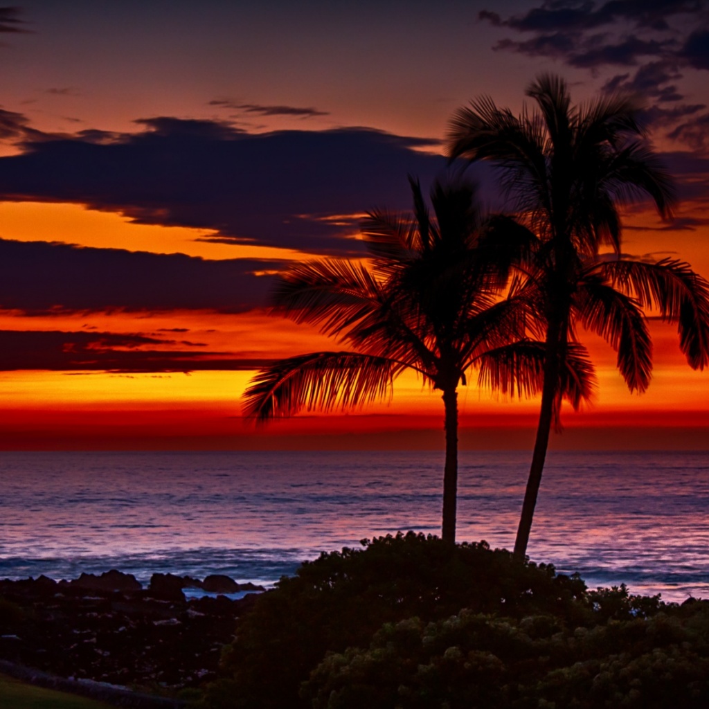 Sunset Ocean Hawaii Wallpapers