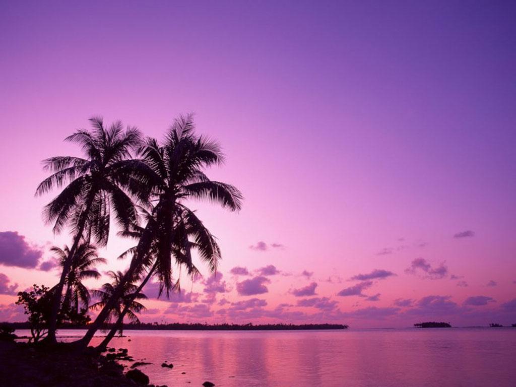 Sunset Purple Ocean Wallpapers