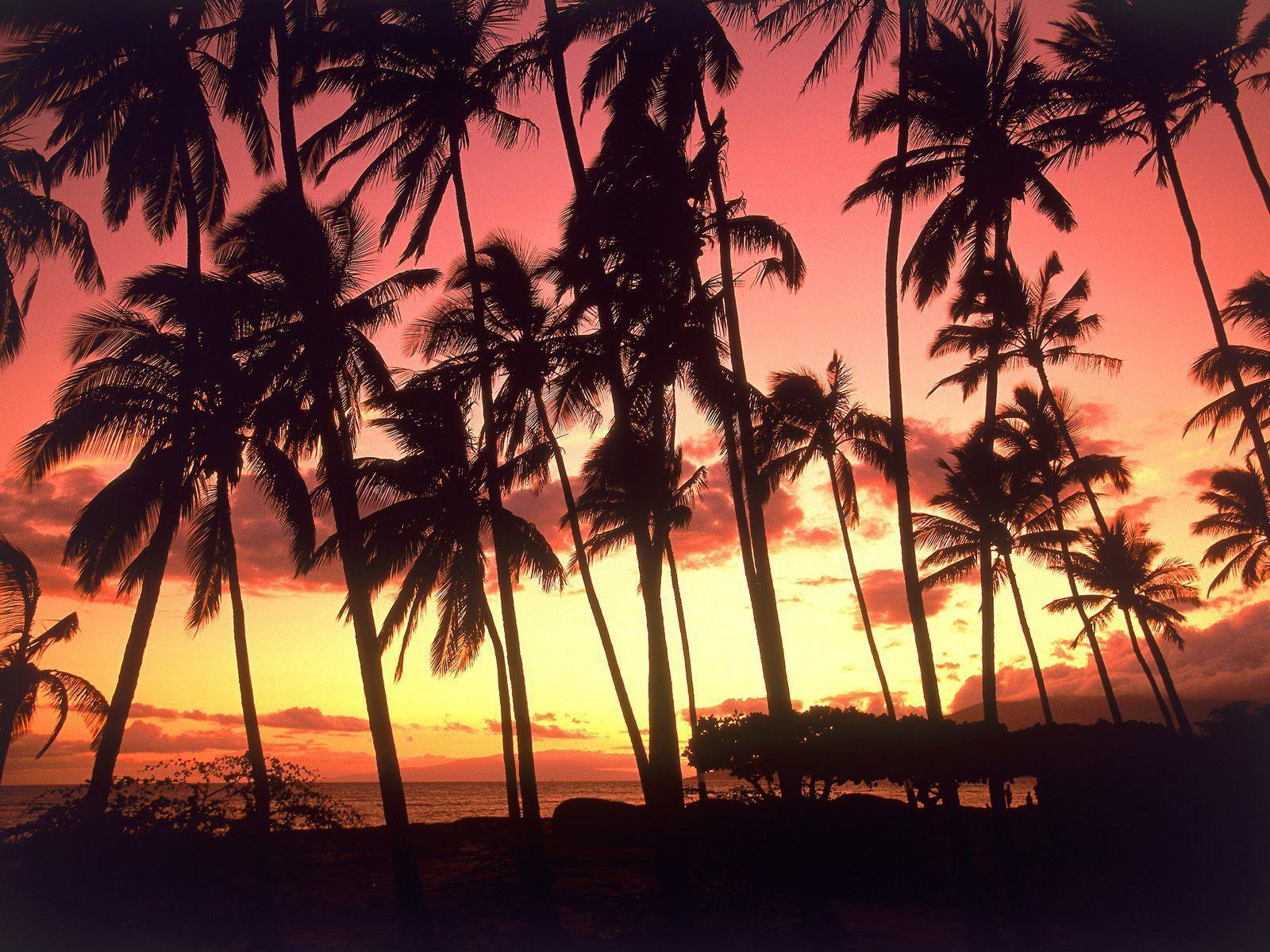 Sunset Hawaii Wallpapers