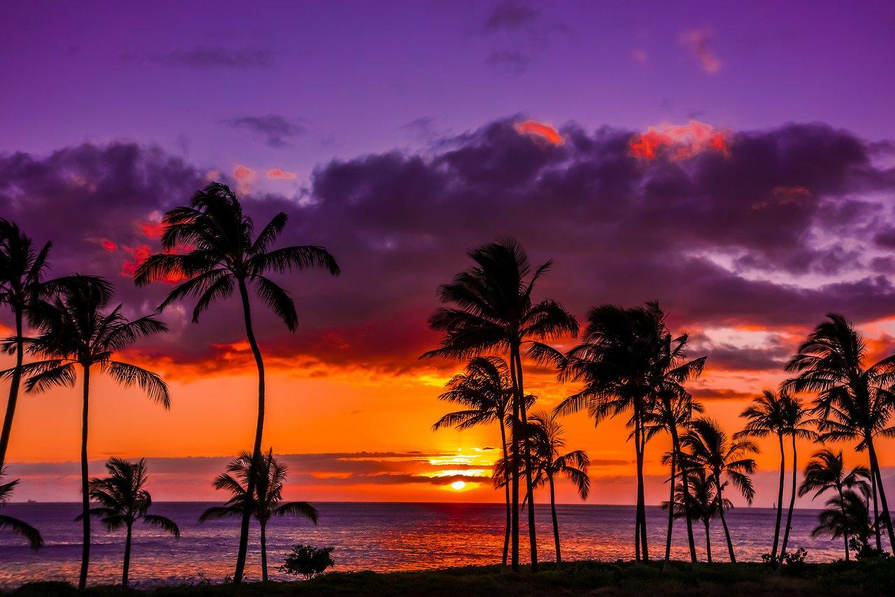 Sunset Hawaii Wallpapers