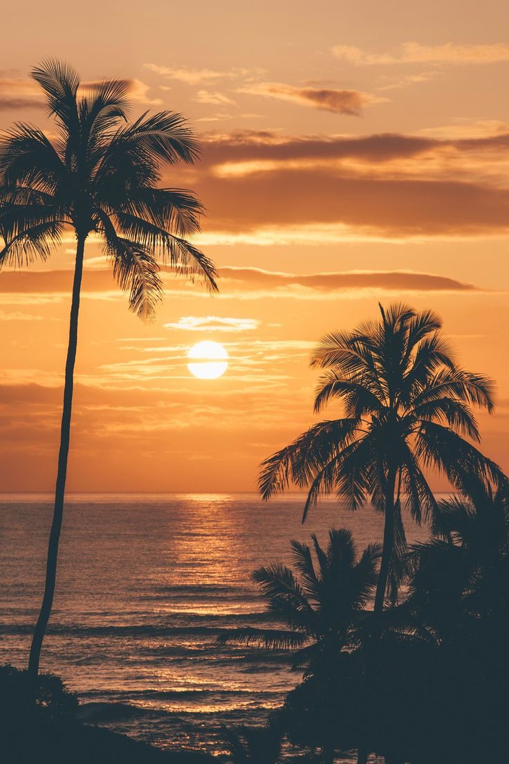 Sunset Hawaii Wallpapers