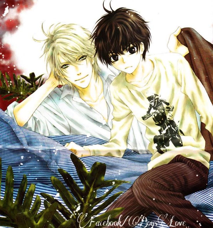 Super Lovers Wallpapers