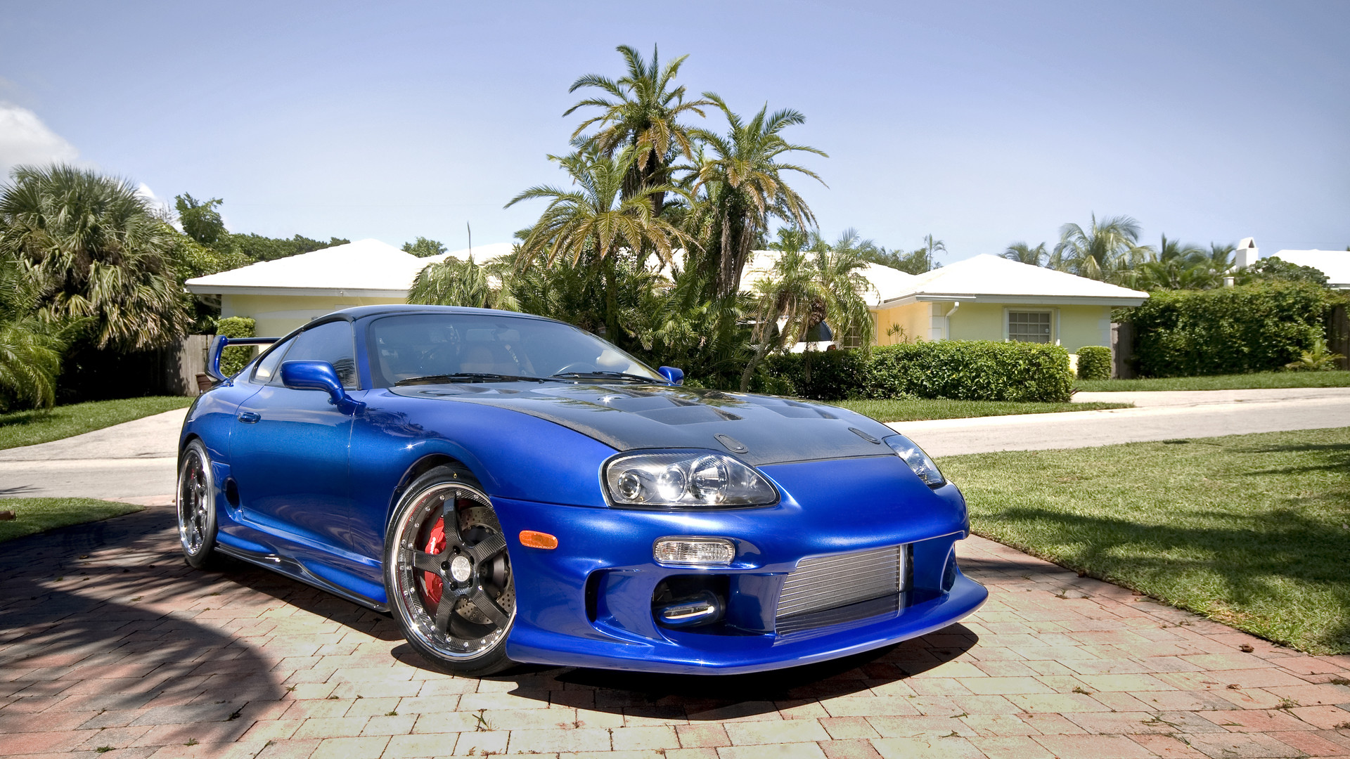 Supra Wallpapers