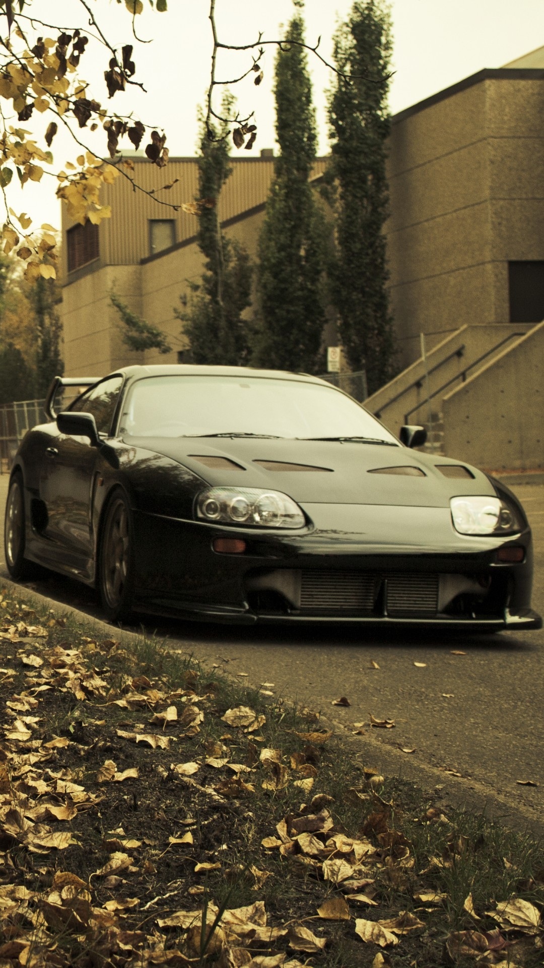 Supra Iphone Wallpapers