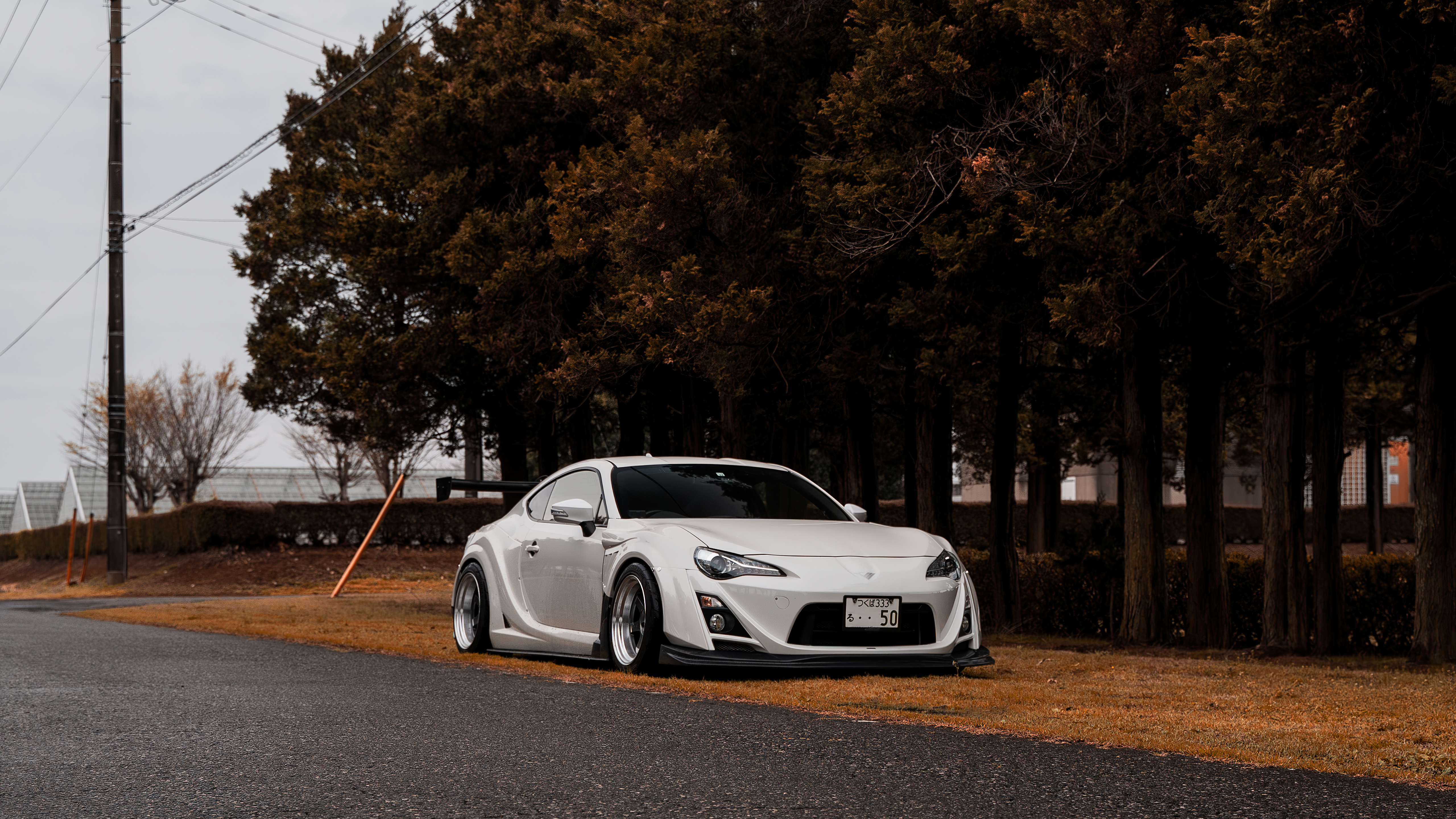 Supra White Wallpapers