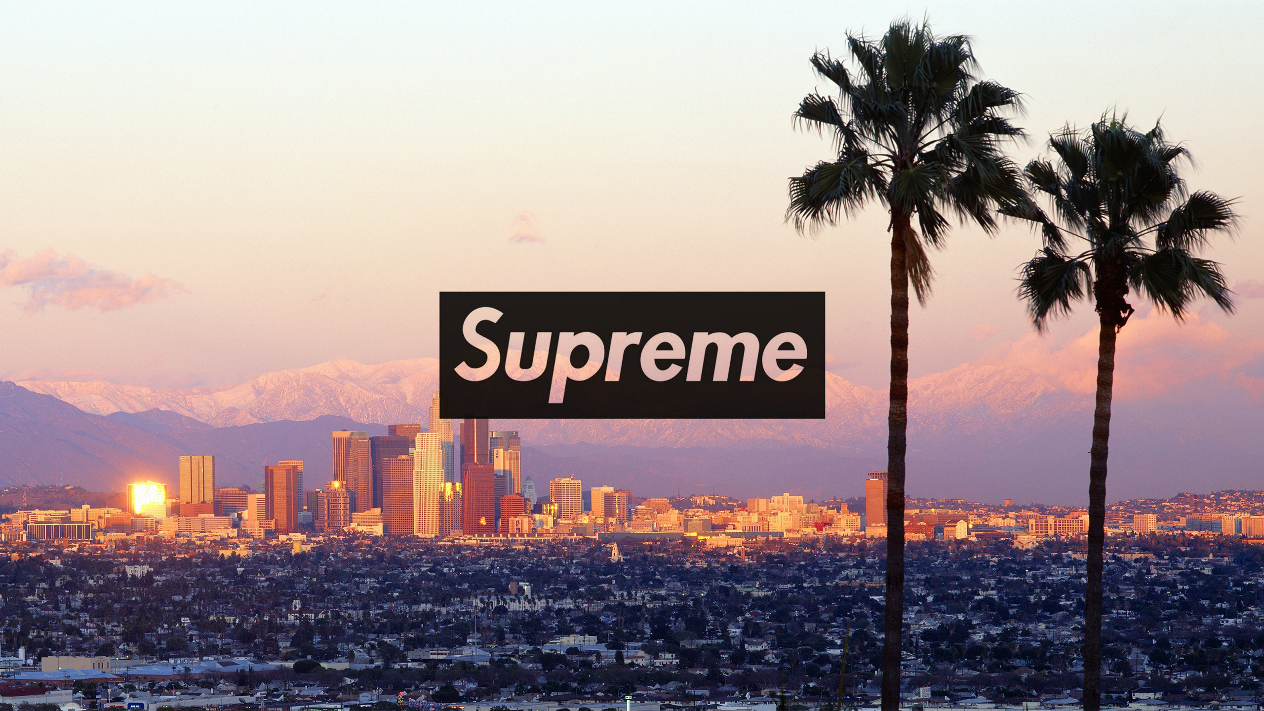 Supreme New York Wallpapers