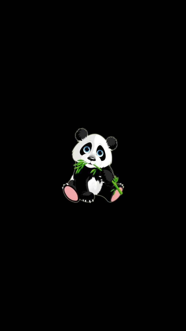 Supreme Panda Wallpapers