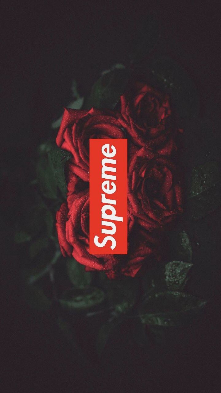 Supreme Rose Wallpapers