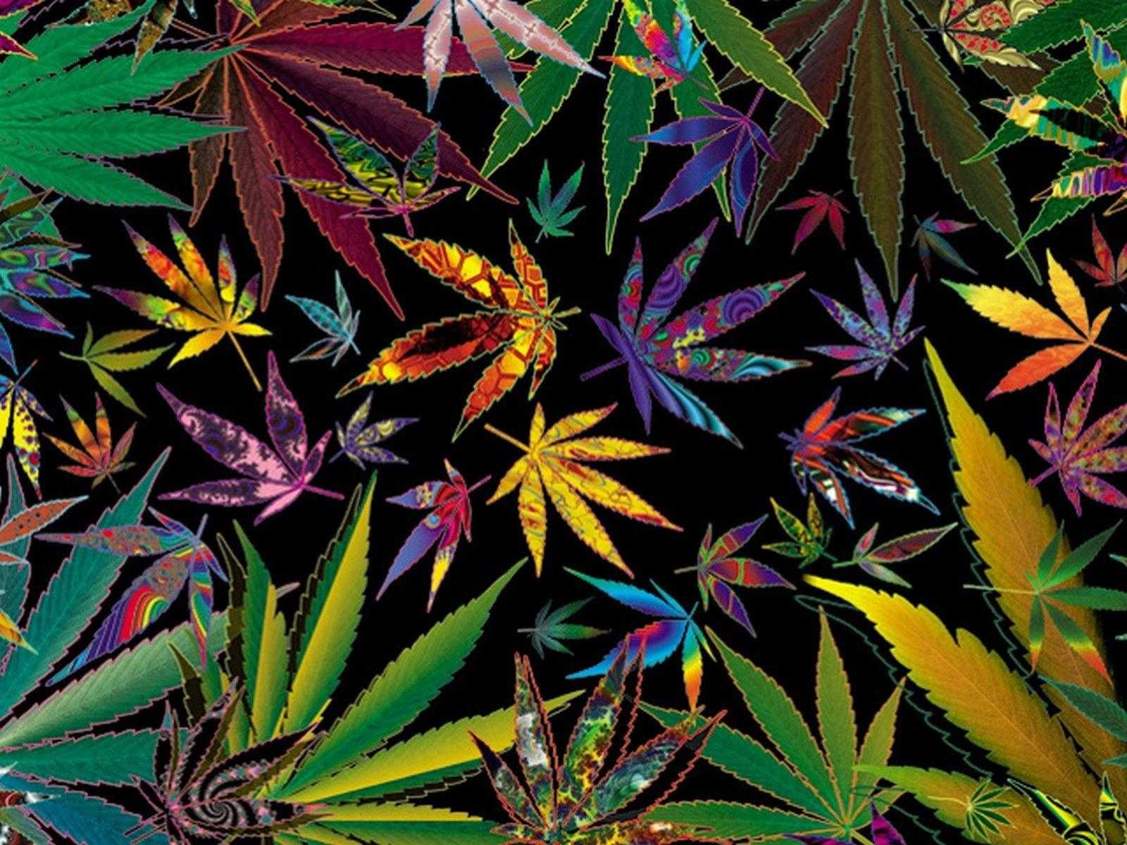 Supreme Weed Wallpapers