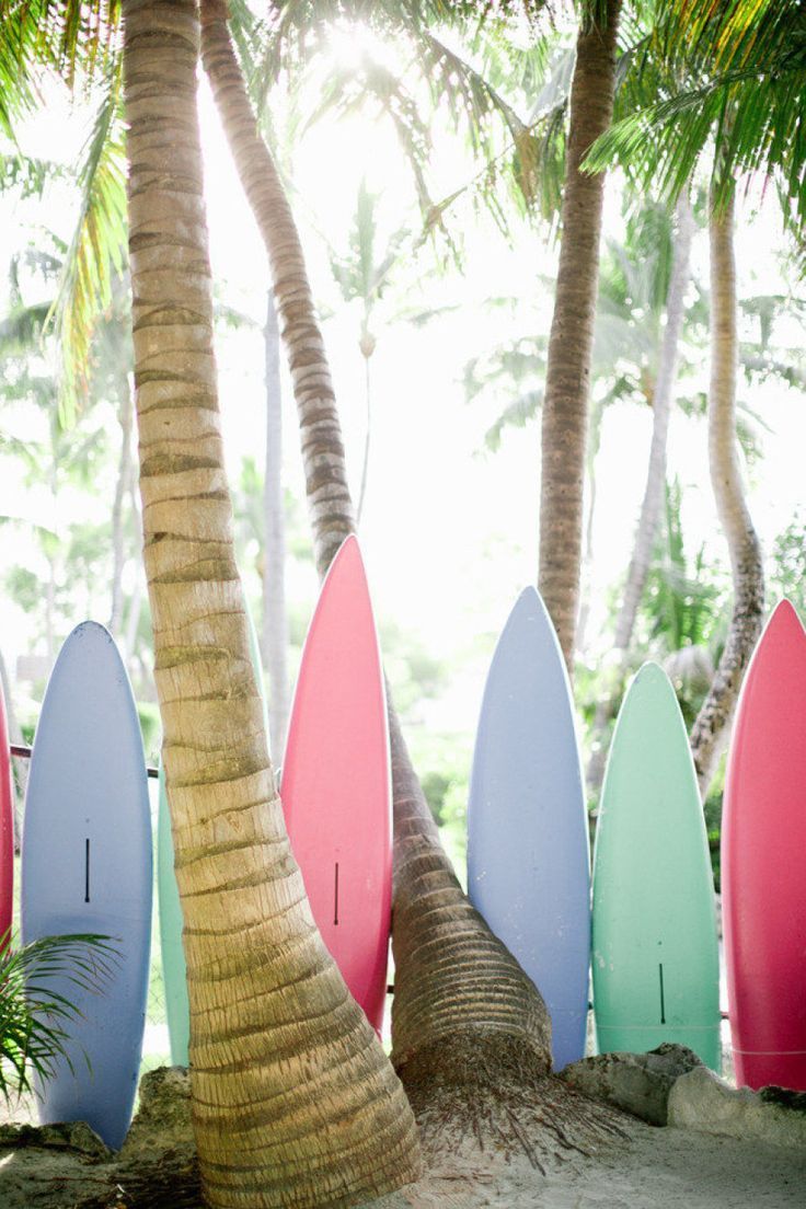 Surfboard Iphone Wallpapers
