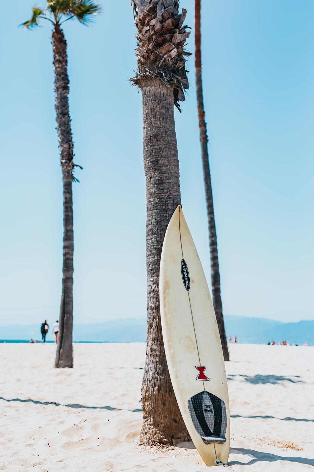 Surfer Mobile Wallpapers