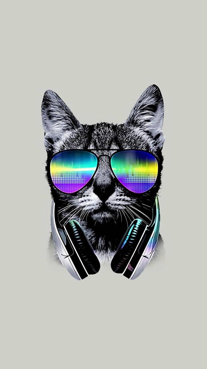 Swag Cats Wallpapers