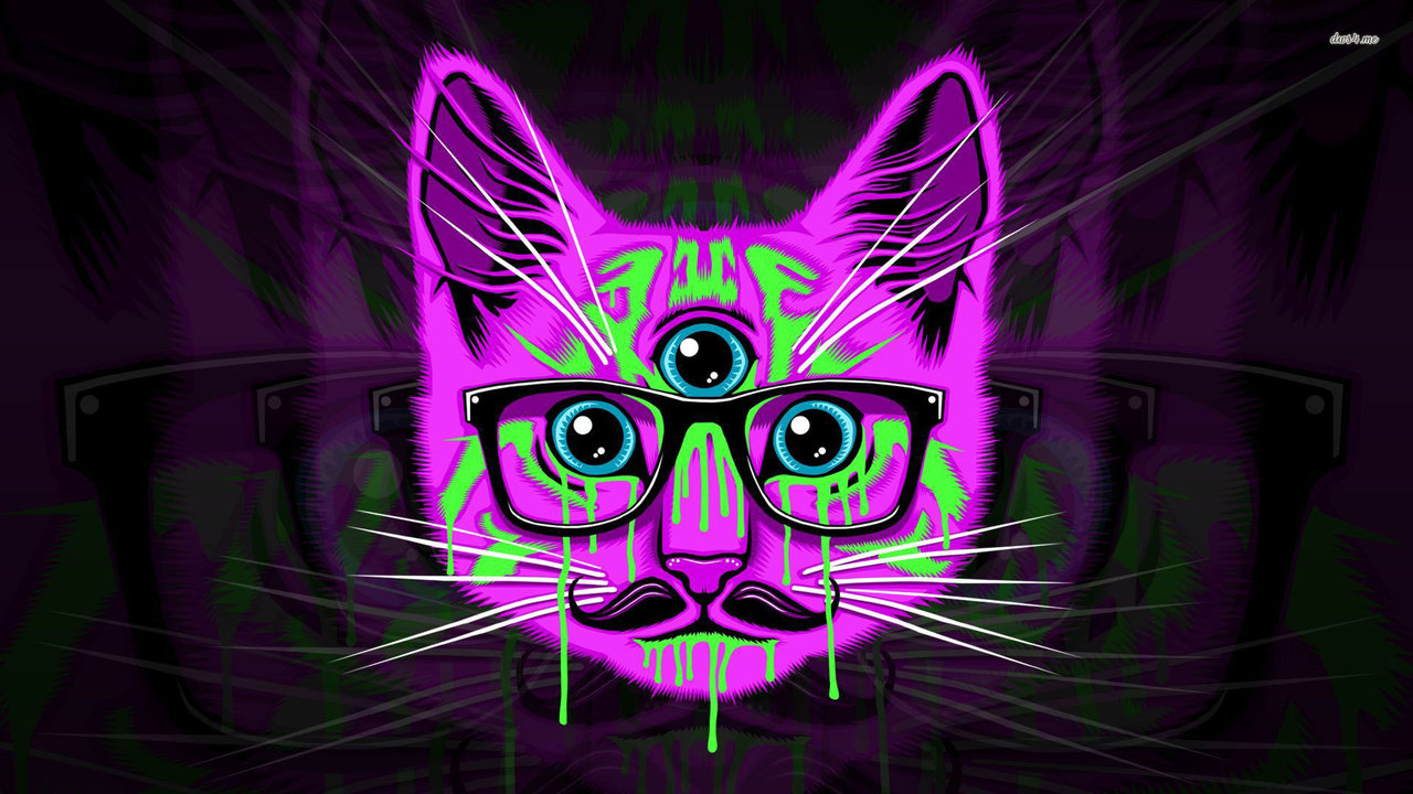 Swag Cats Wallpapers