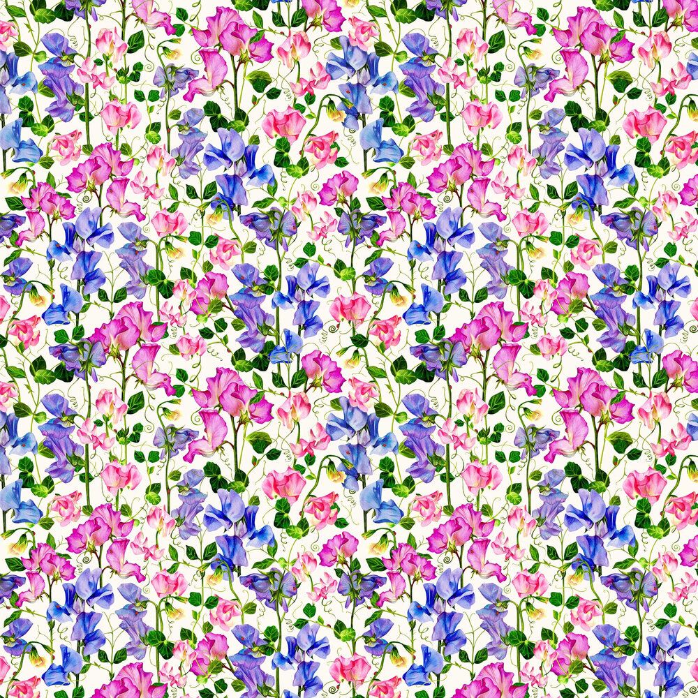 Sweet Pea Wallpapers