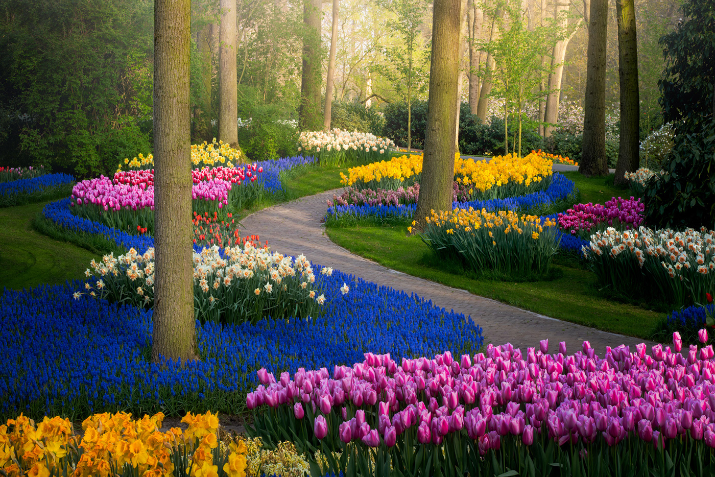 Switzerland Flower Garden Wallpapers