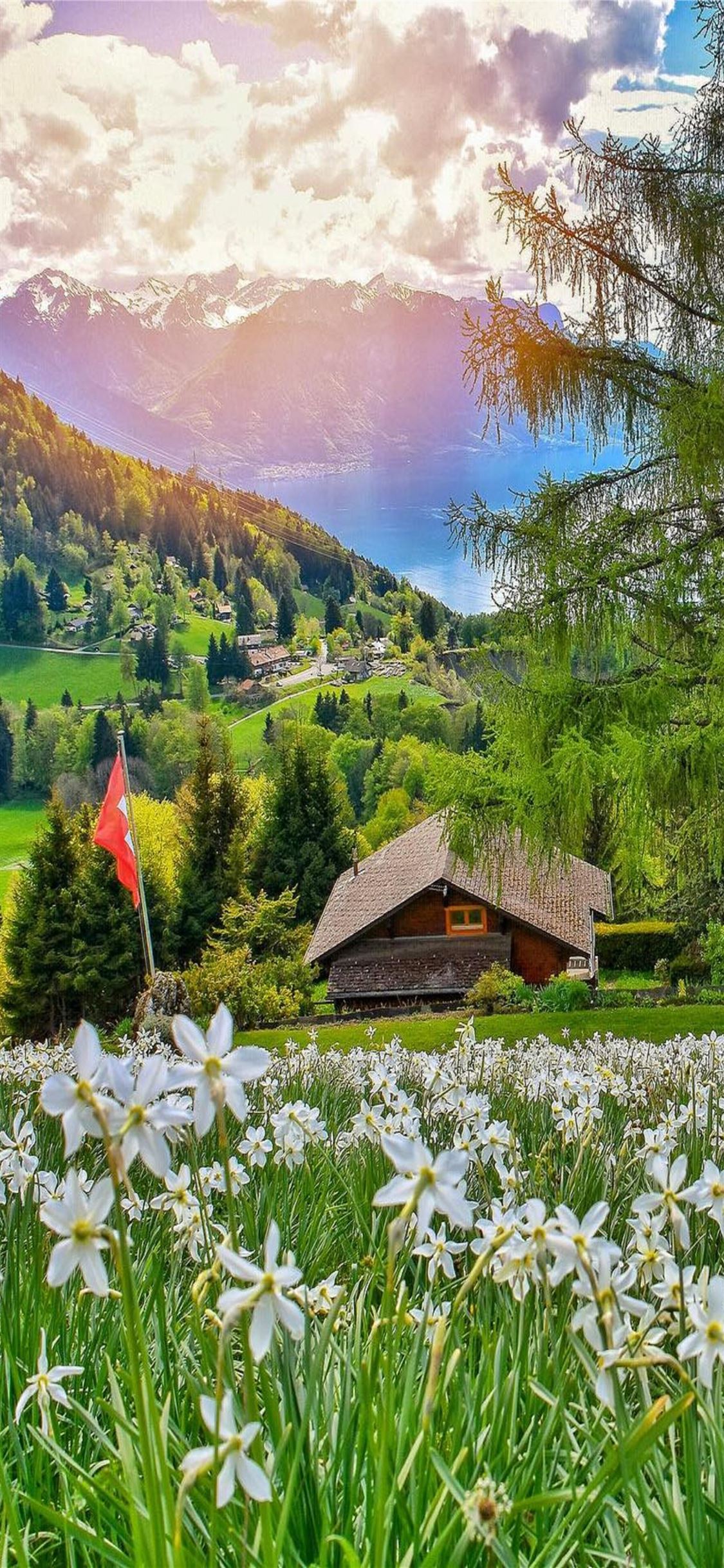 Switzerland Flower Garden Wallpapers