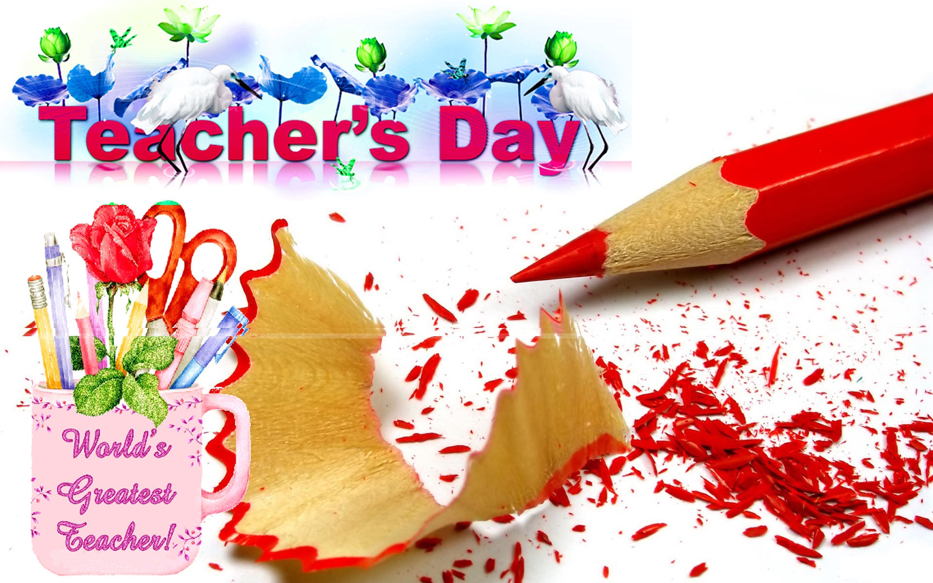 Teacher Hd Wallpapers