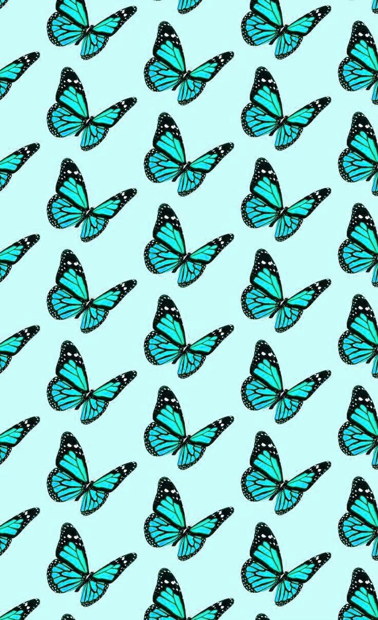 Teal Butterfly Wallpapers