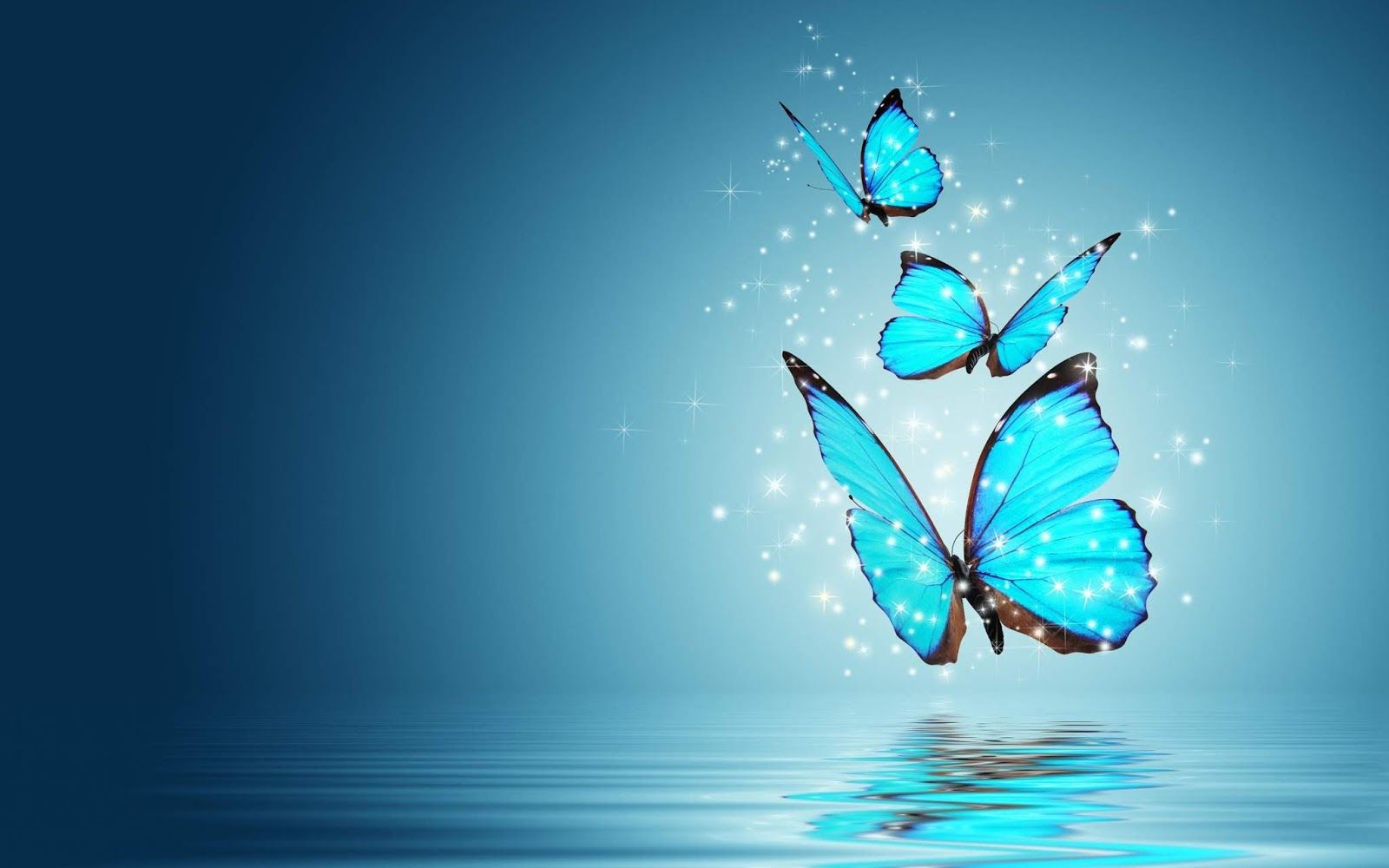 Teal Butterfly Wallpapers