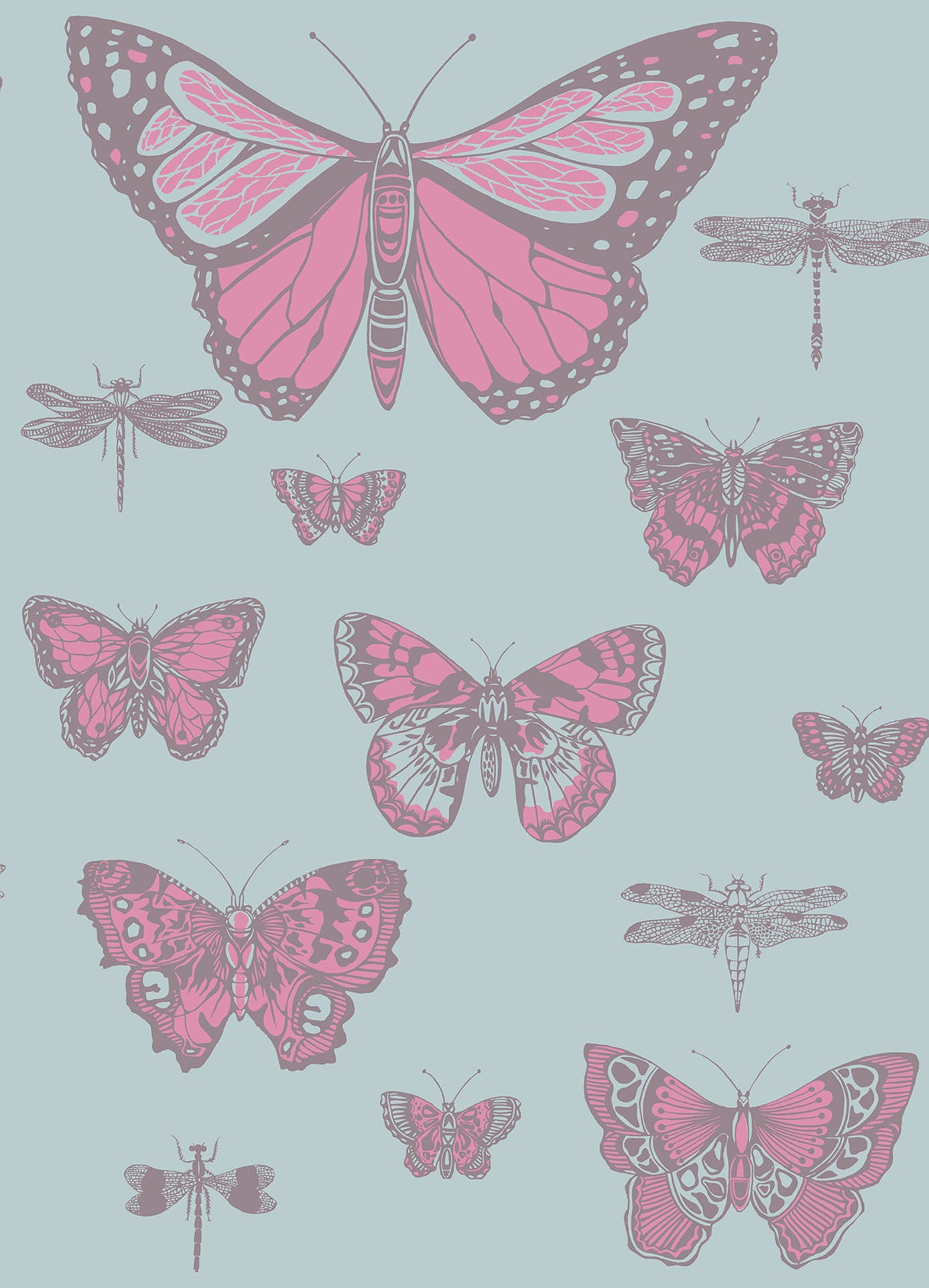 Teal Butterfly Wallpapers