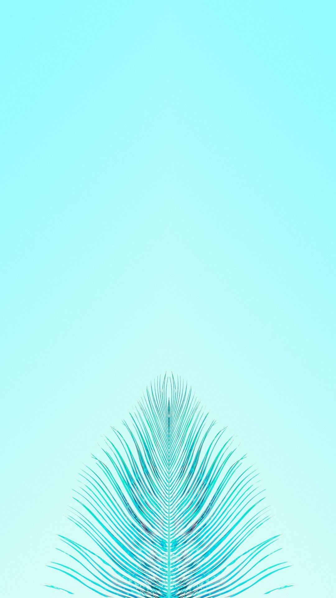 Teal Wallpapers