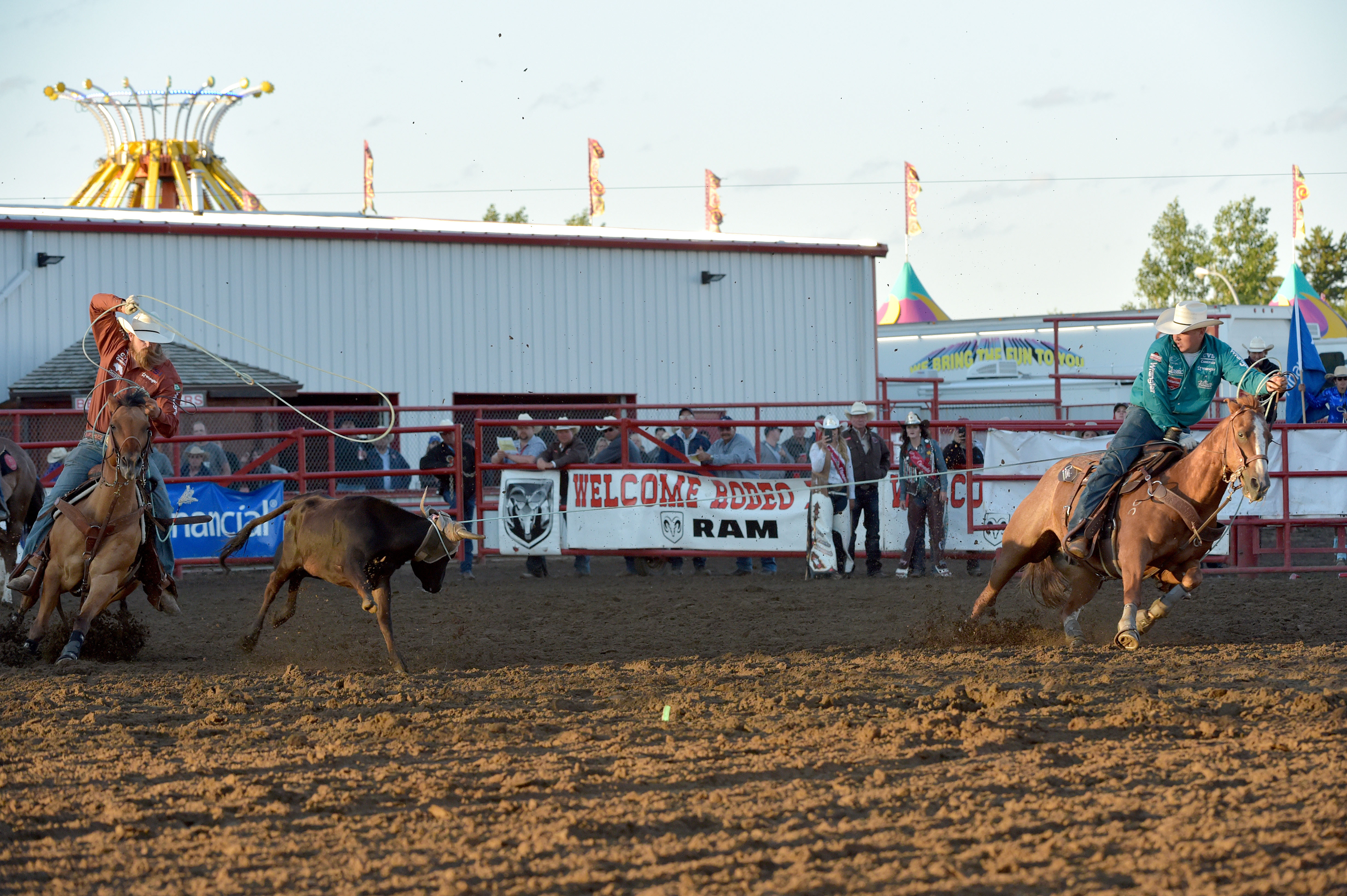 Team Roping Wallpapers