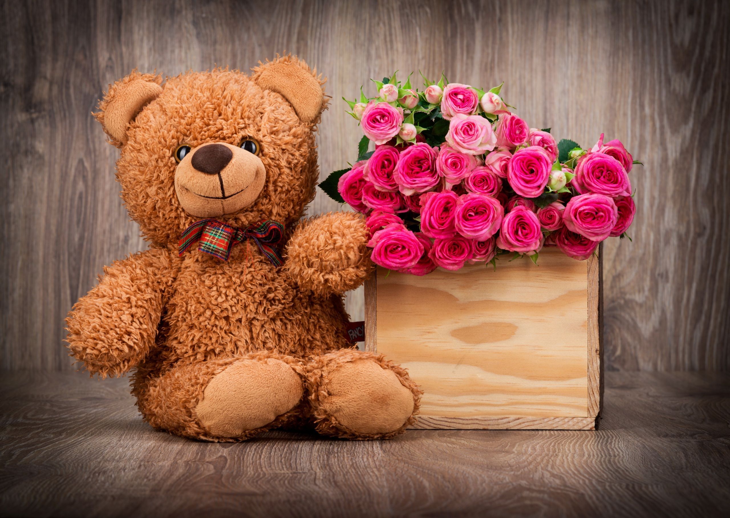 Teddy Bear And Flower Wallpapers