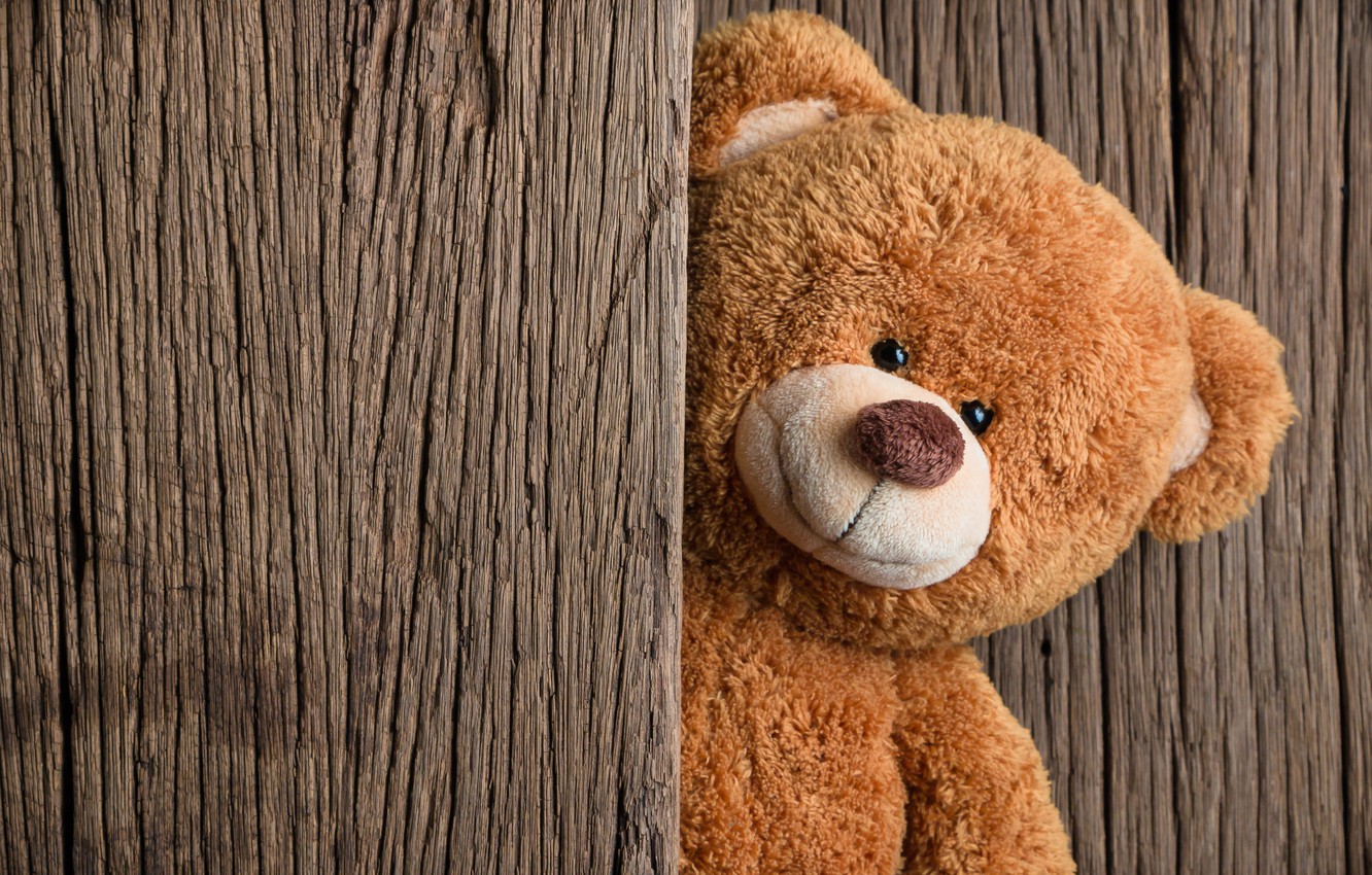 Teddy Bear Wallpapers