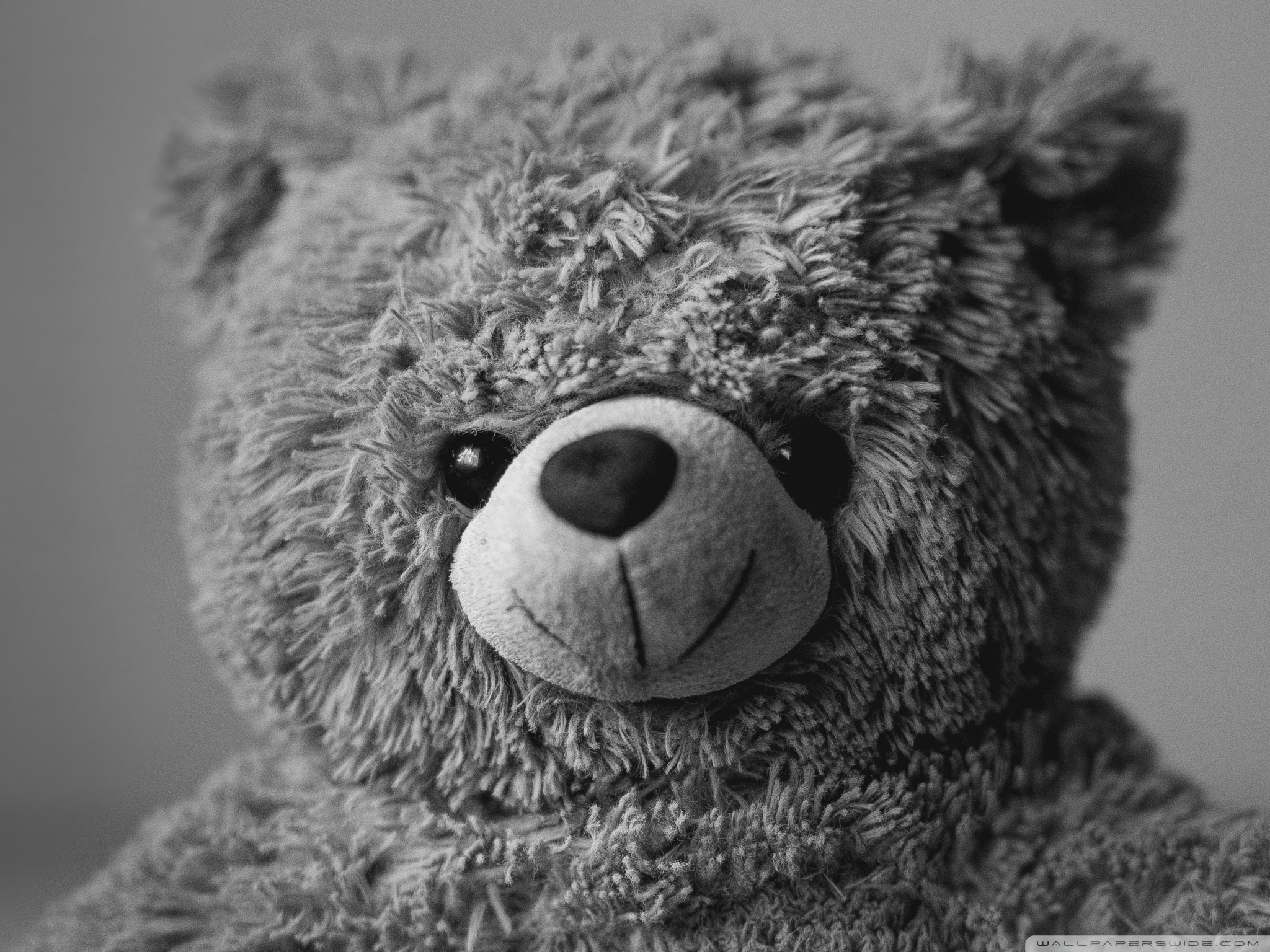 Teddy Bear Wallpapers