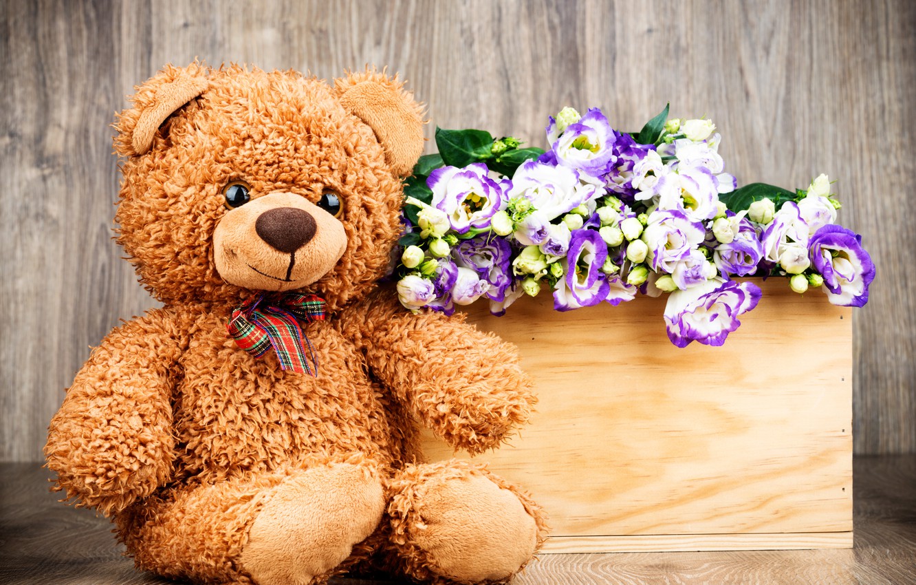 Teddy Bear Wallpapers