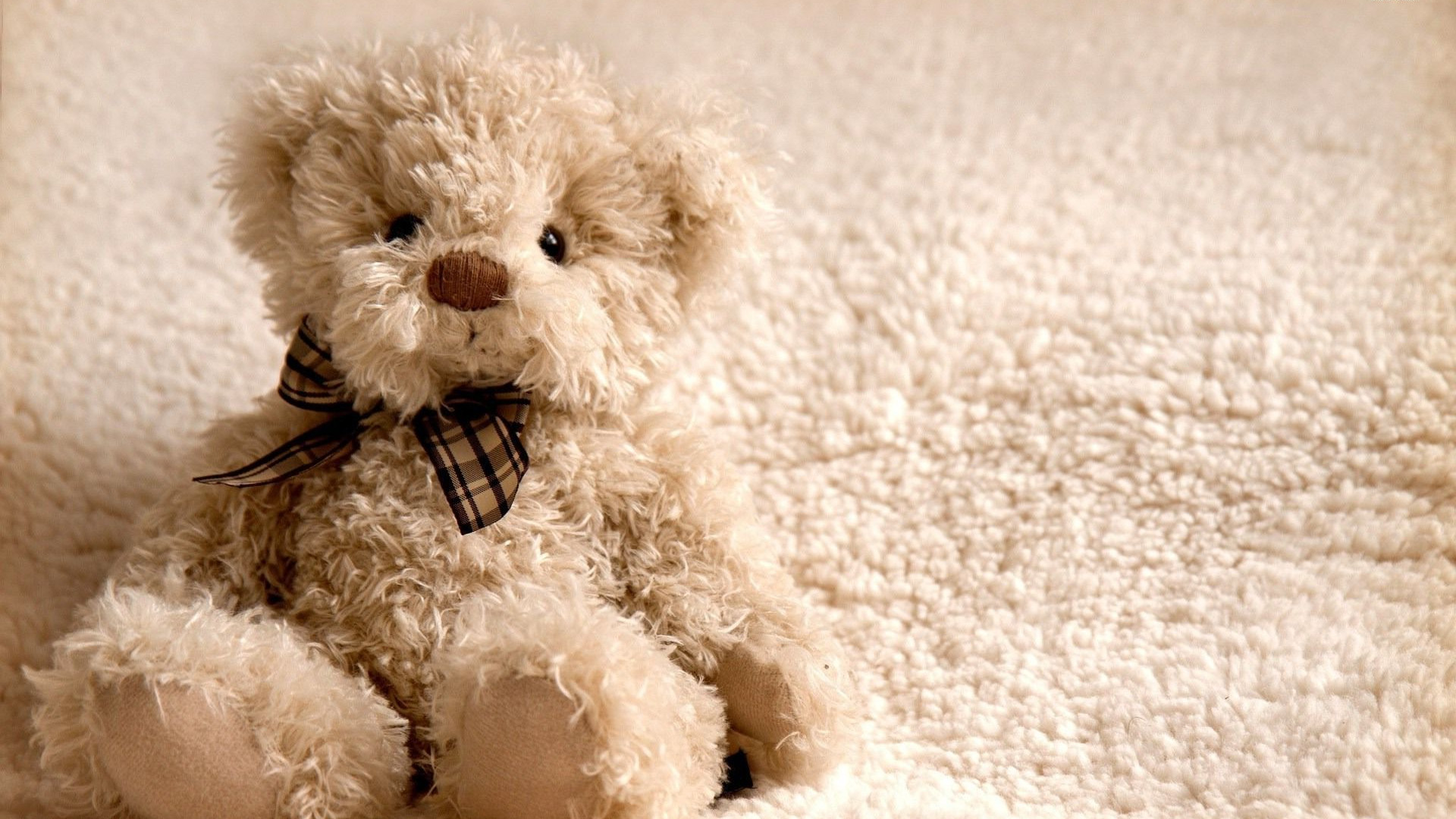 Teddy Bear Wallpapers