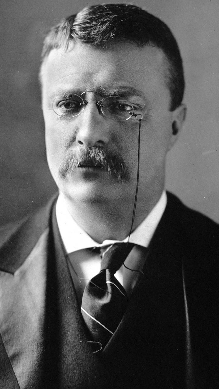 Teddy Roosevelt Wallpapers