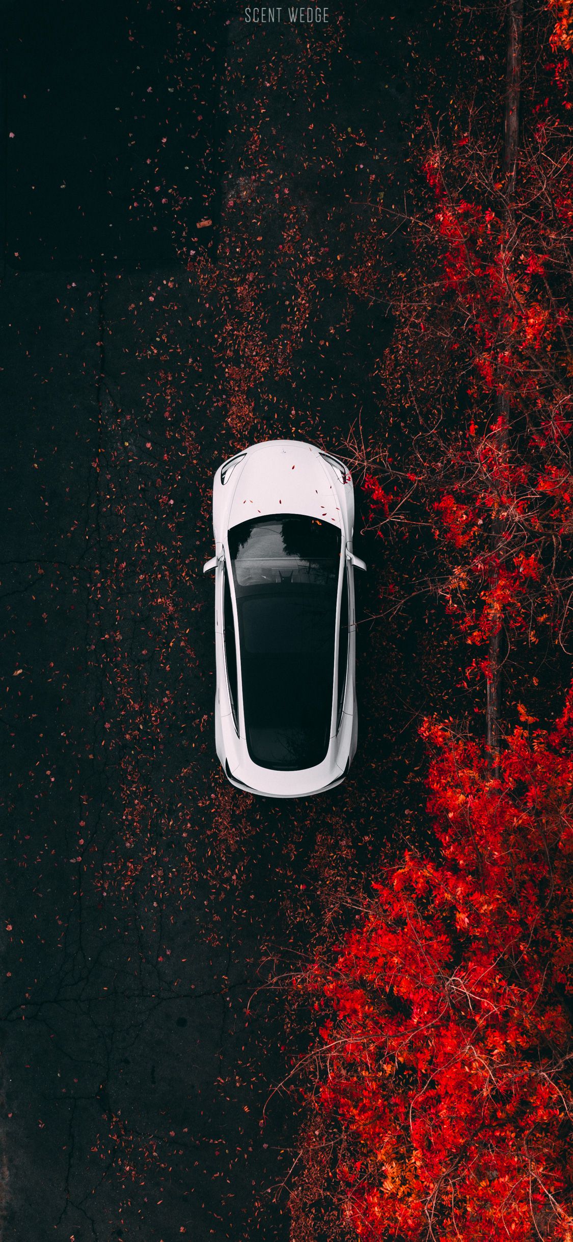 Tesla Logo Iphone Wallpapers