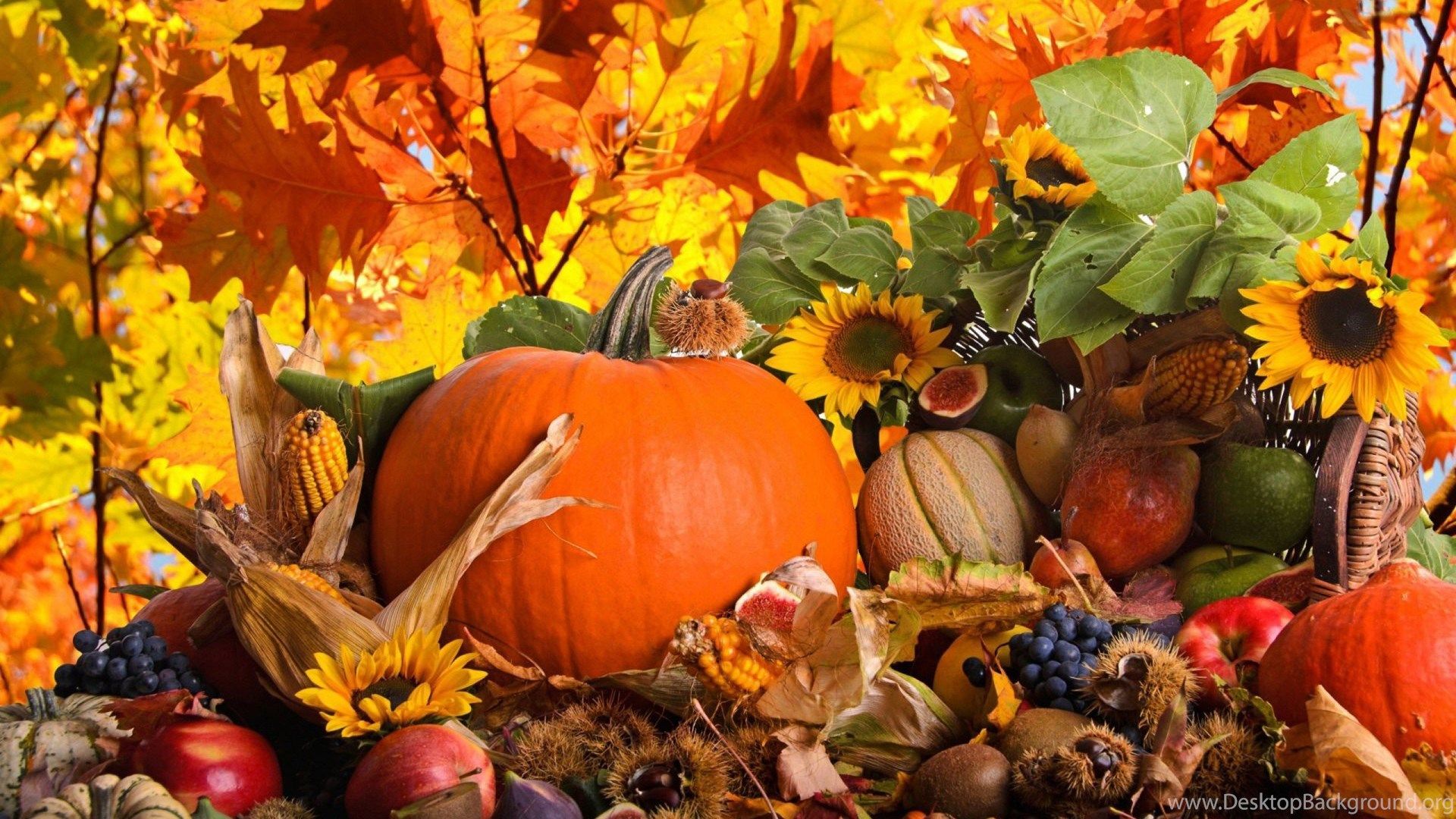 Thanksgiving 1920X1080 Wallpapers