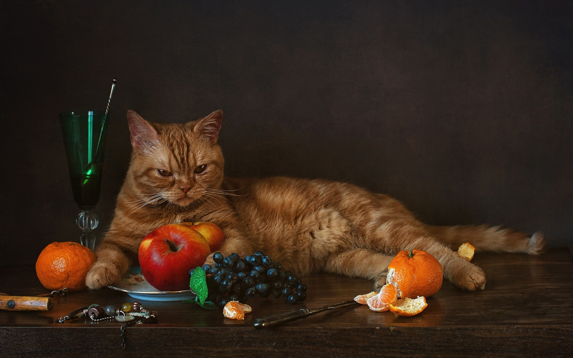 Thanksgiving Cat Wallpapers