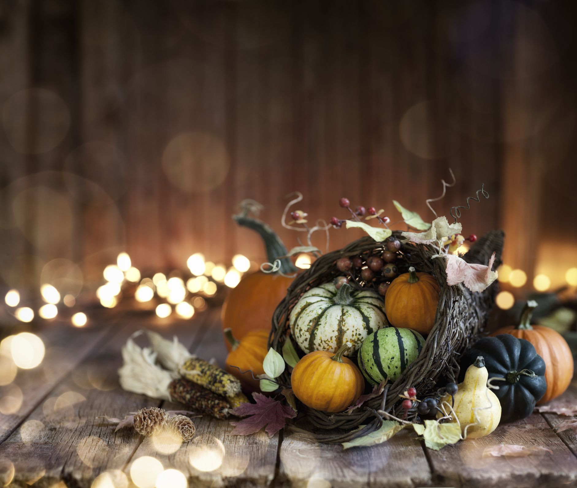 Thanksgiving Cornucopia Wallpapers