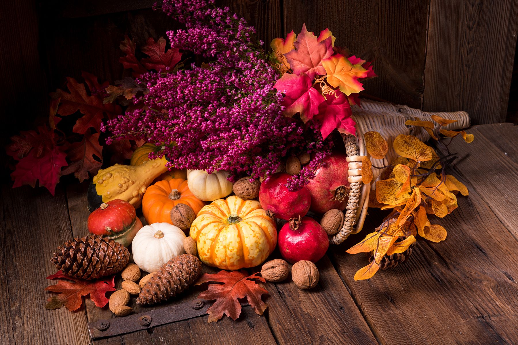 Thanksgiving Cornucopia Wallpapers