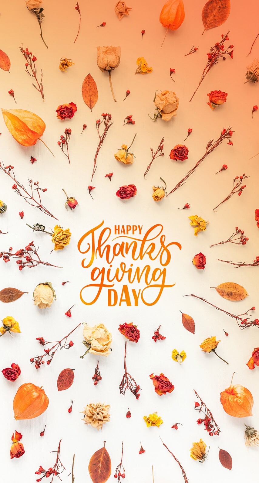 Thanksgiving Day Wallpapers