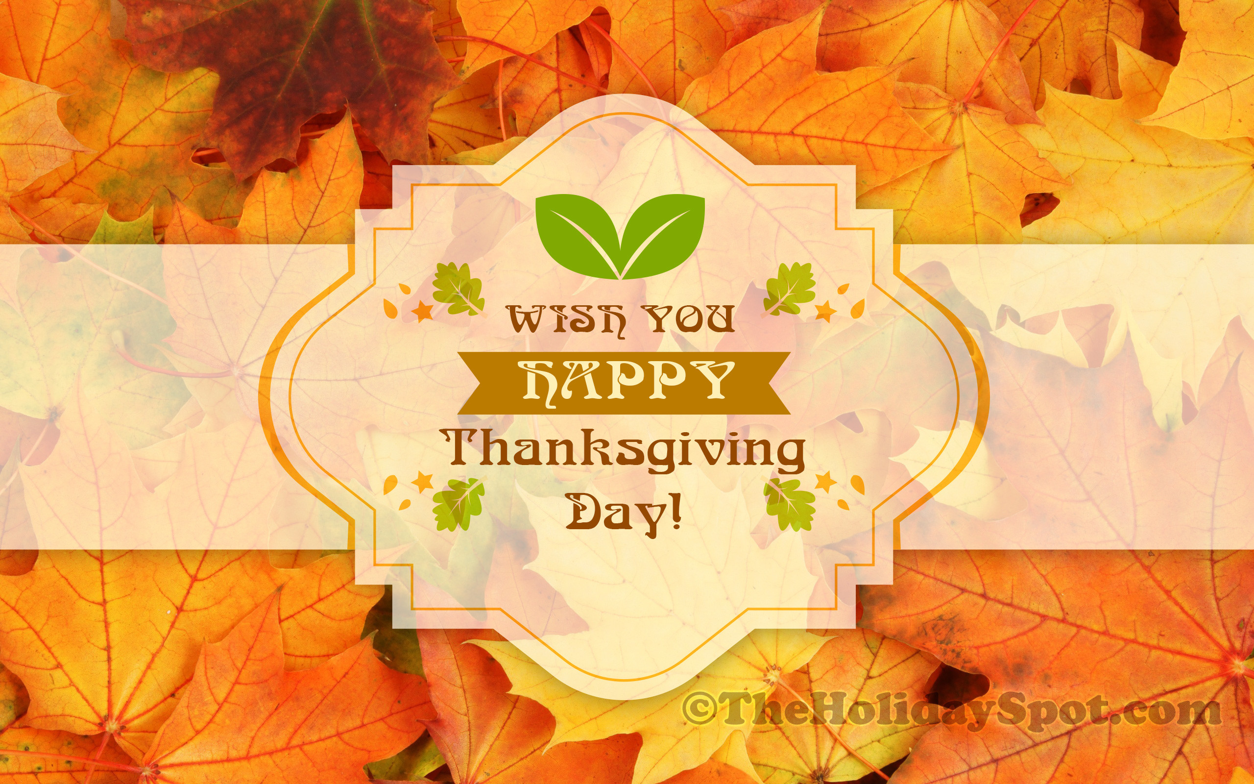 Thanksgiving Day Wallpapers