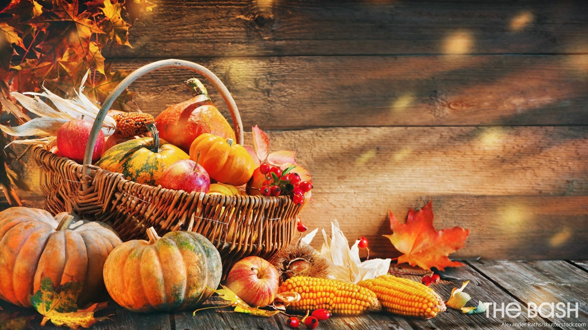 Thanksgiving Gourd Wallpapers