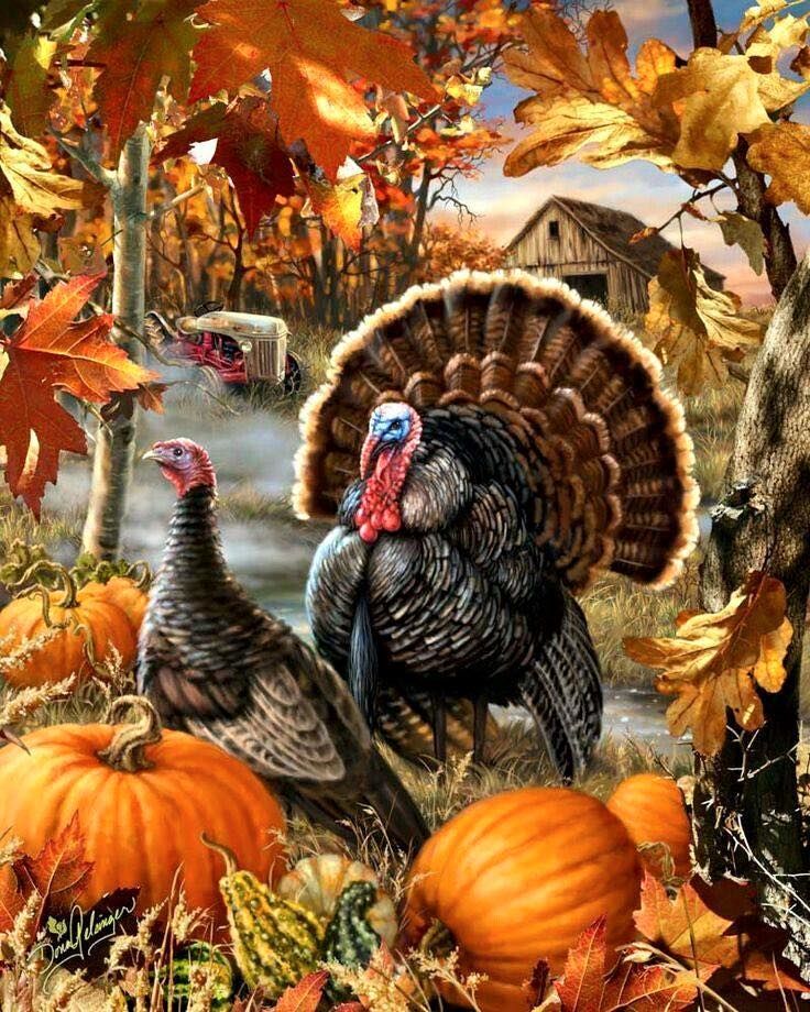 Thanksgiving Scenery Wallpapers