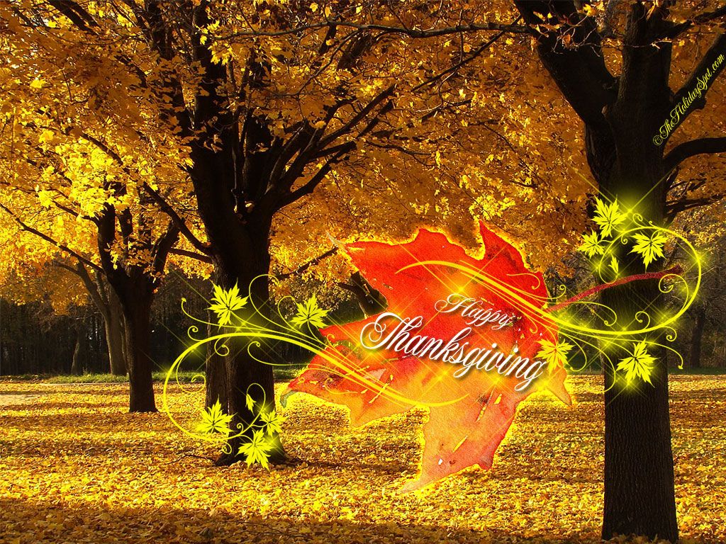 Thanksgiving Hd Widescreen Wallpapers