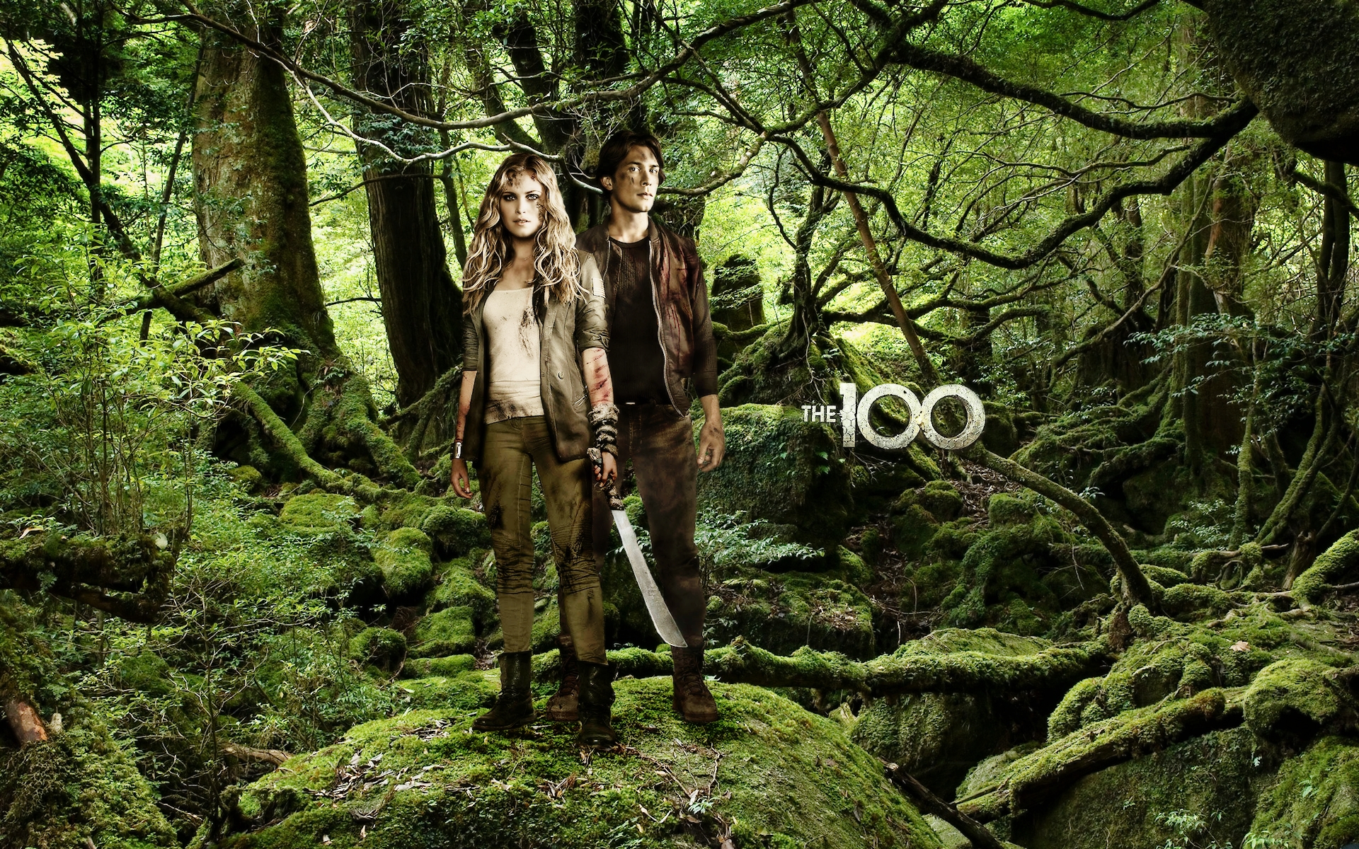 The 100 Hd Wallpapers