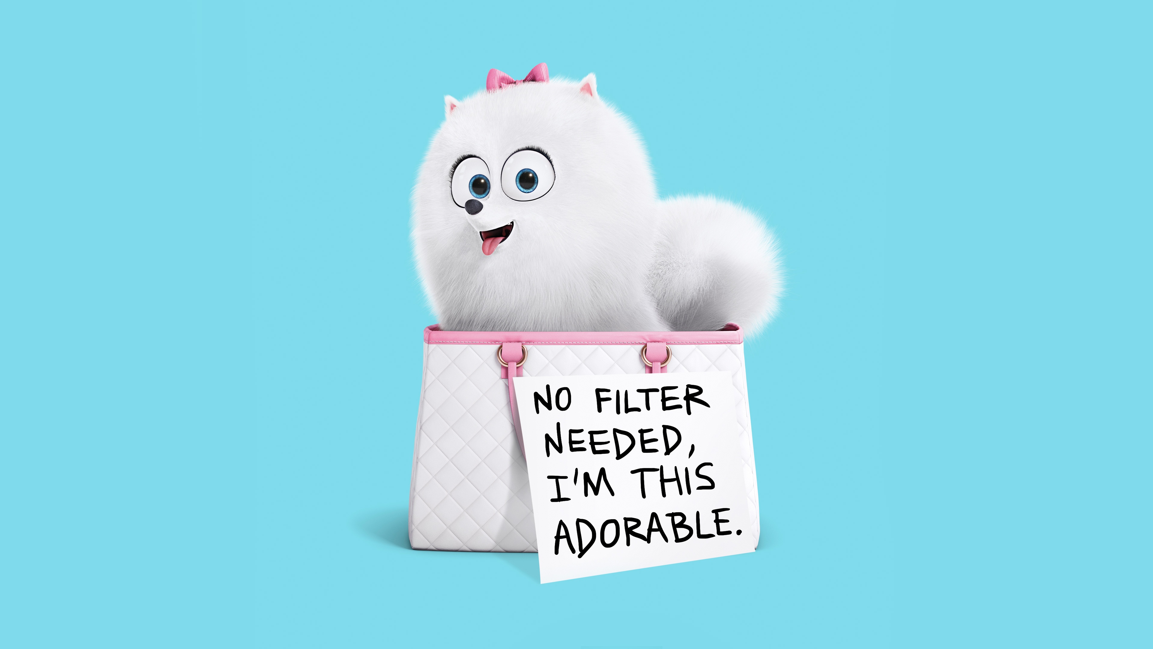 The Secret Life Of Pets Hd Wallpapers