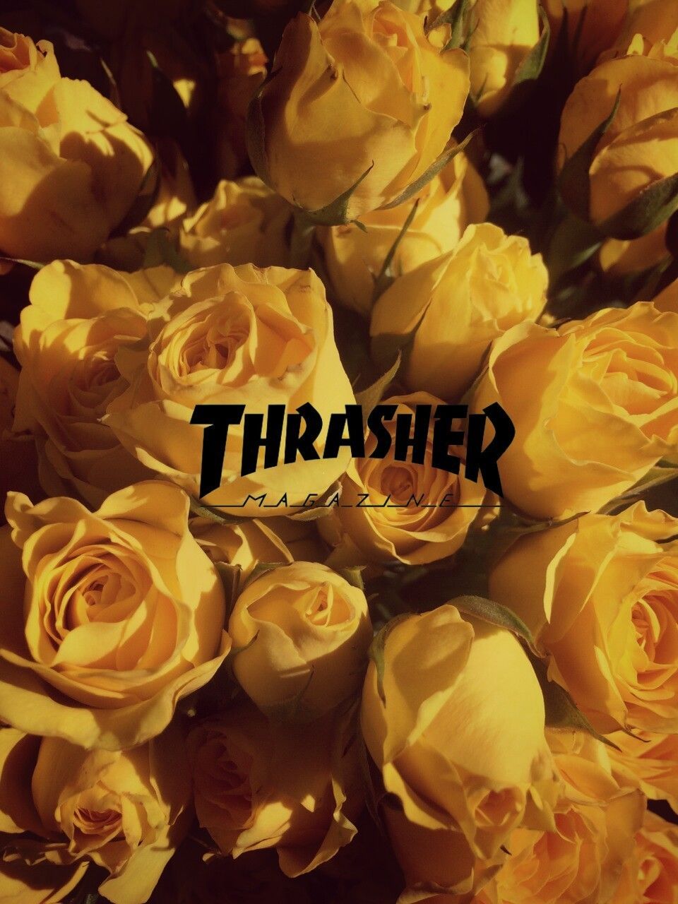 Thrasher Rose Logo Wallpapers